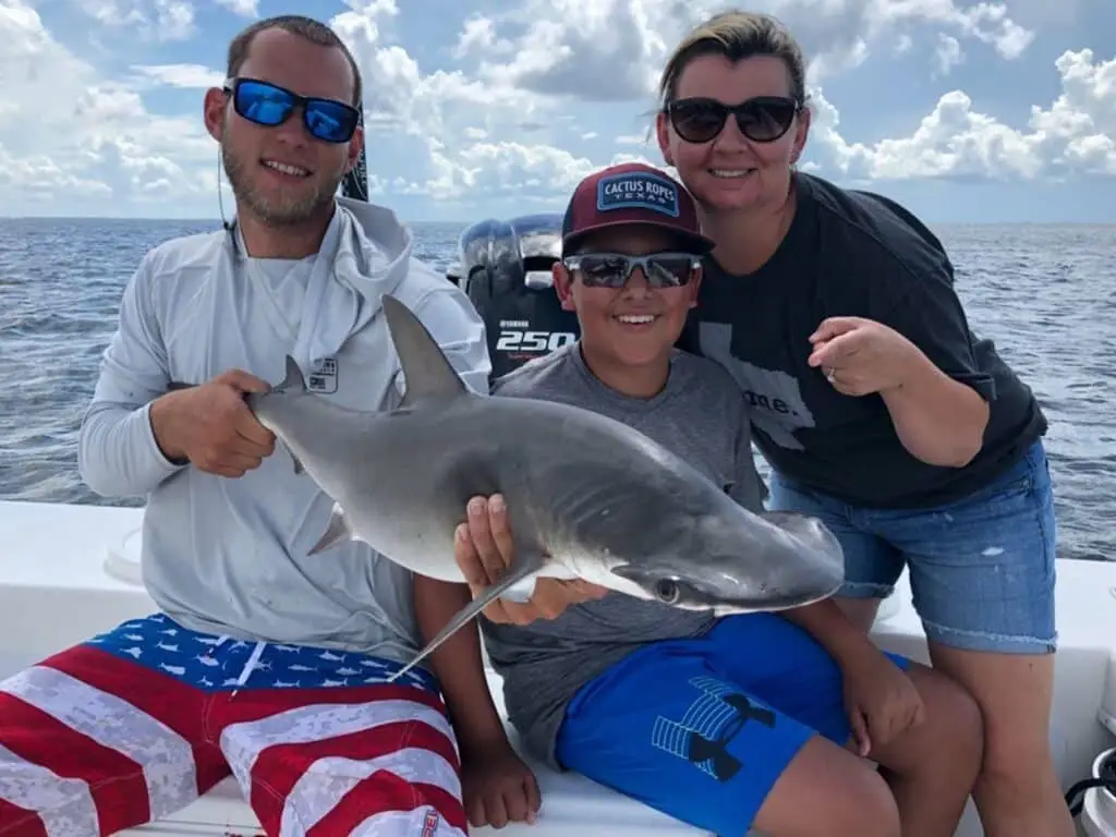 shark caught near st petersburg