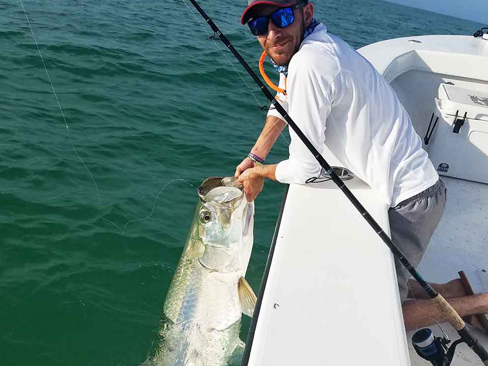 Huge Tarpon