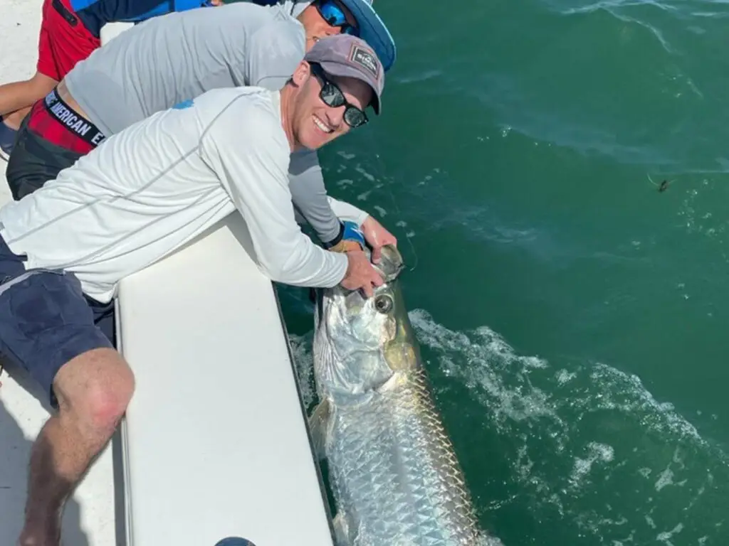 Big tarpon caught on tampa bay charter