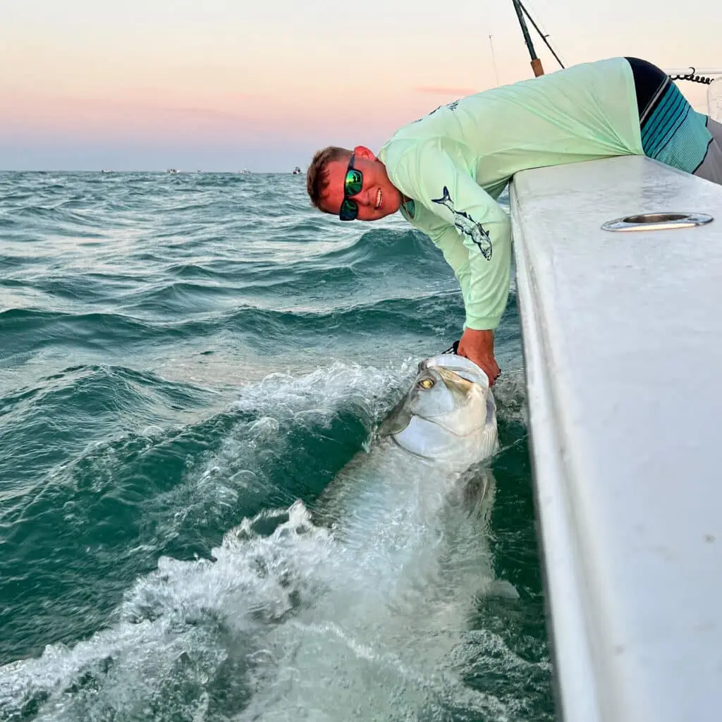 Big tarpon caught near st petersburg fl