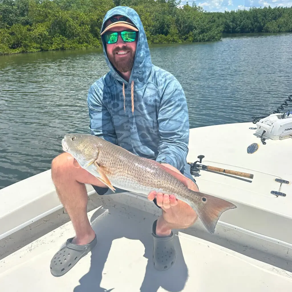 redfish caught in tampa bay